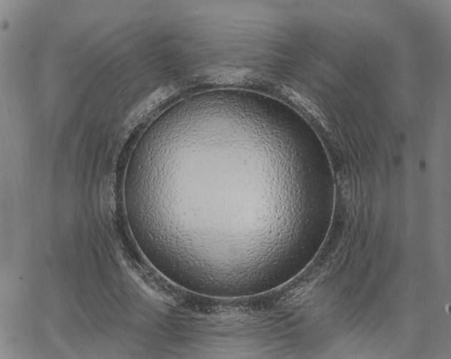 X0000063450682200601271539