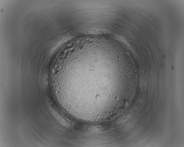 X0000063450683200601271539