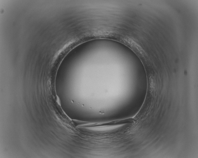 X0000063450684200601271539