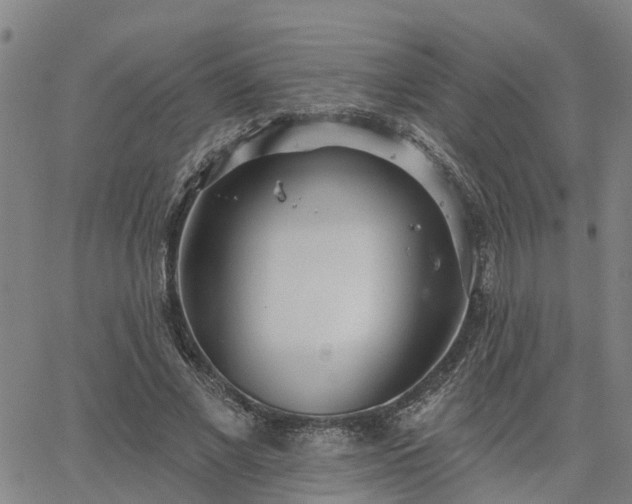 X0000063450685200601271539