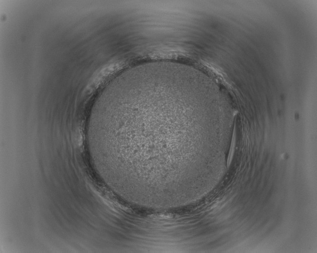 X0000063450687200601271539