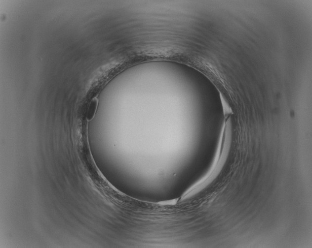 X0000063450688200601271539