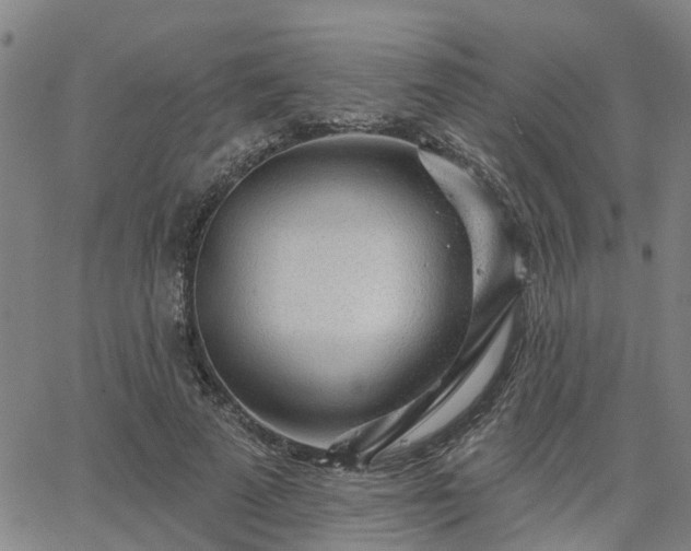 X0000063450689200601271539