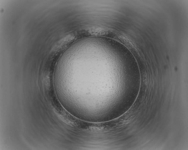 X0000063450690200601271539