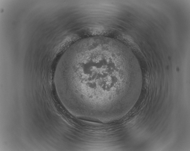 X0000063450691200601271539