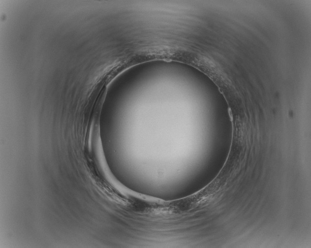 X0000063450692200601271539