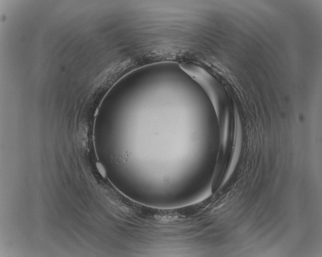 X0000063450693200601271539