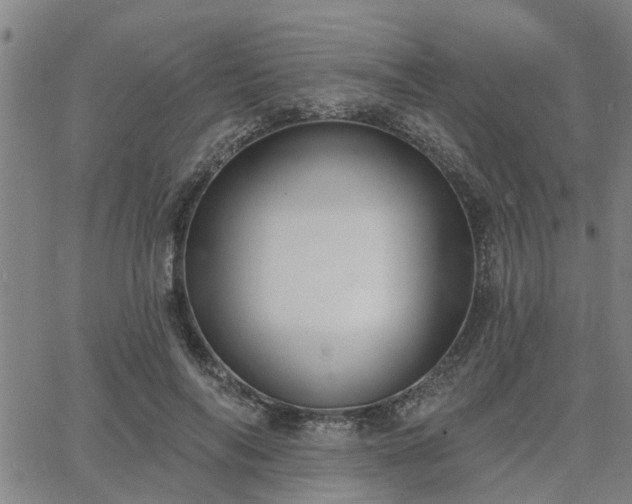 X0000063450694200601271539