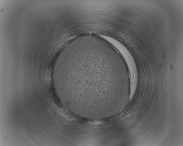 X0000063450695200601271539