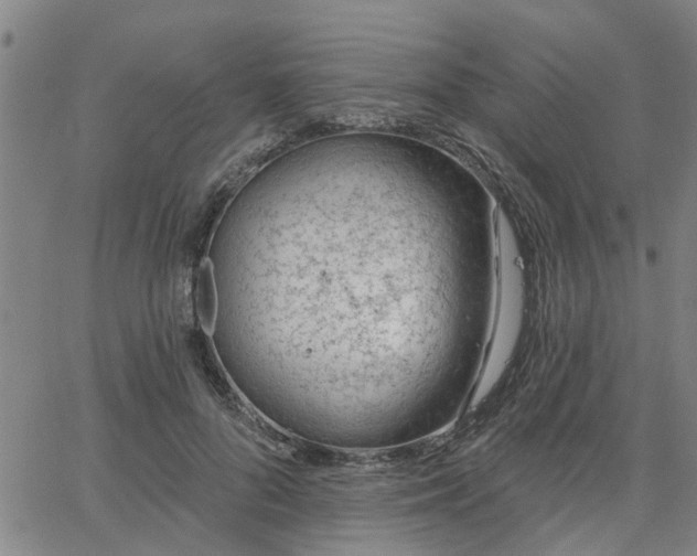 X0000063450696200601271539