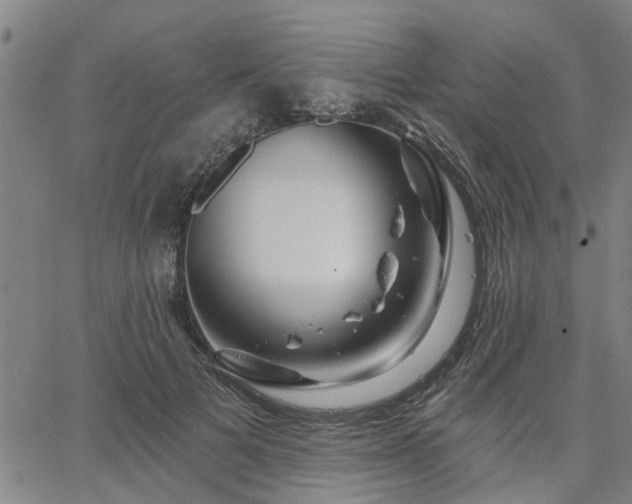 X0000063450697200601271539