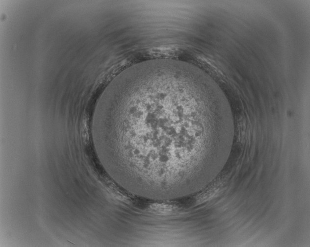 X0000063450699200601271539