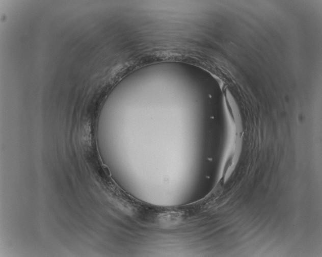 X0000063450700200601271539