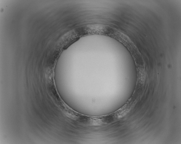 X0000063450701200601271539