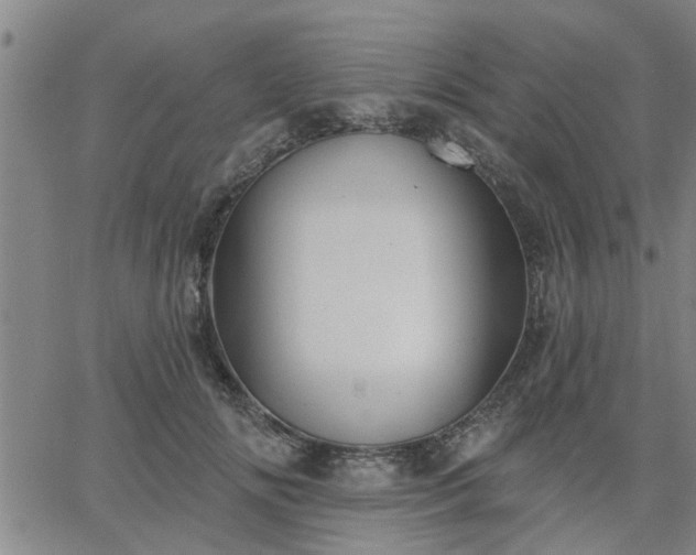 X0000063450702200601271539