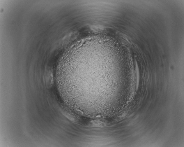 X0000063450703200601271539