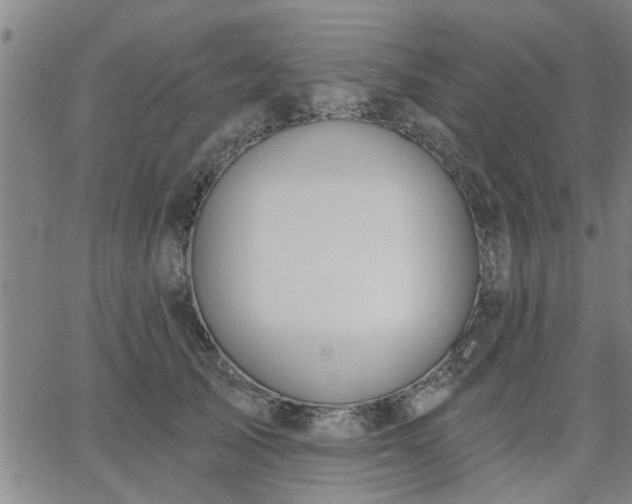 X0000063450705200601271539