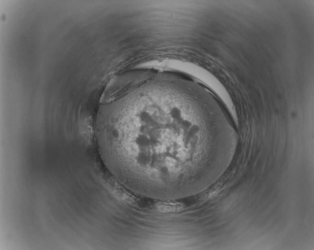 X0000063450707200601271539