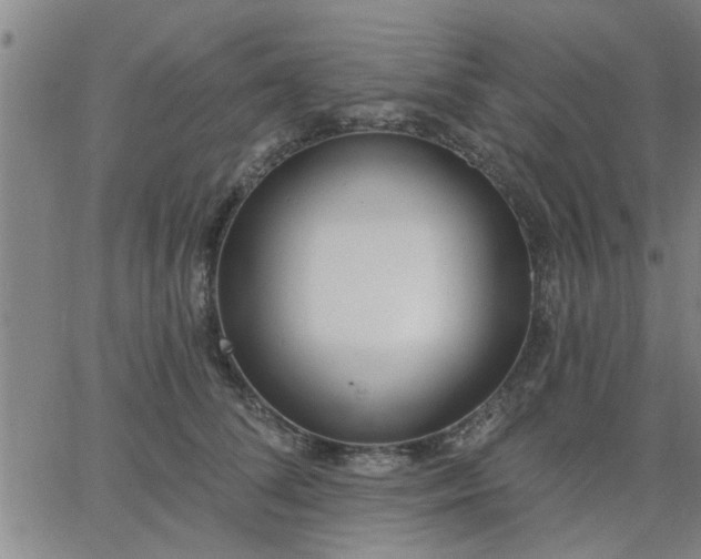 X0000063450708200601271539