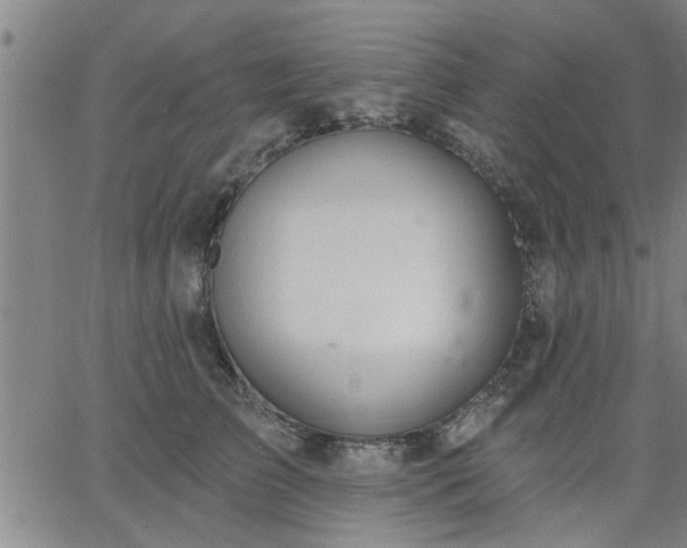 X0000063450709200601271539