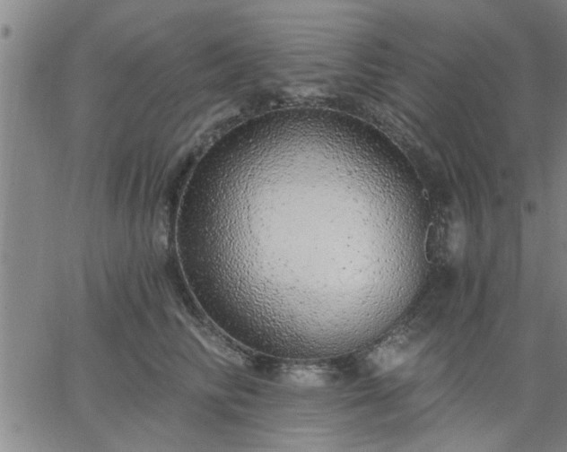 X0000063450710200601271539