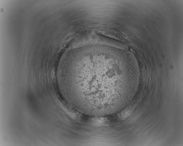 X0000063450711200601271539