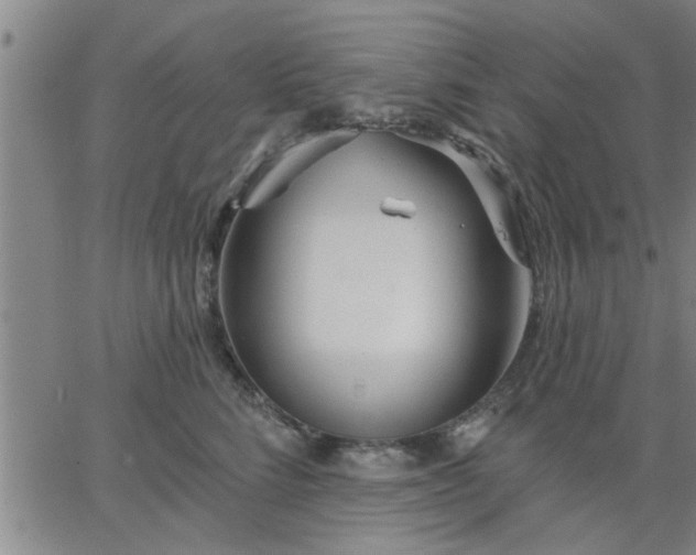 X0000063450712200601271539