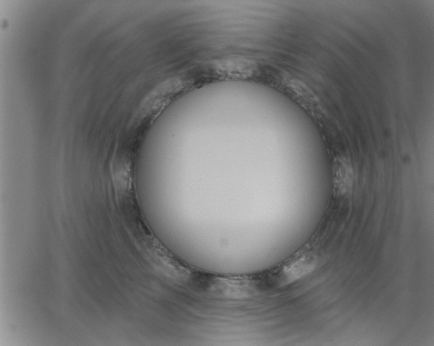 X0000063450713200601271539