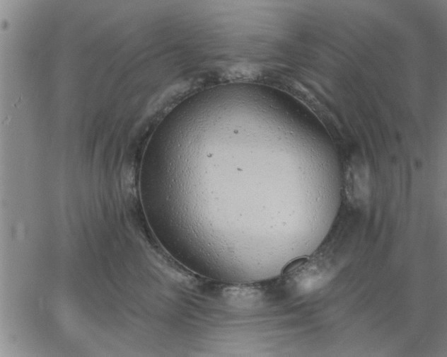 X0000063450714200601271539