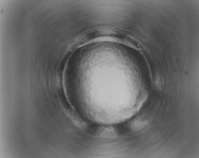 X0000063450715200601271539