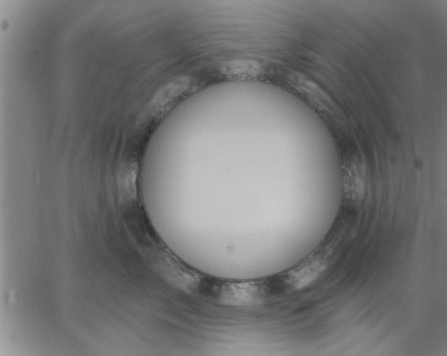 X0000063450717200601271539