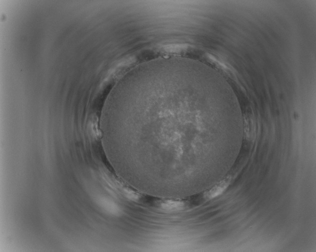 X0000063450718200601271539