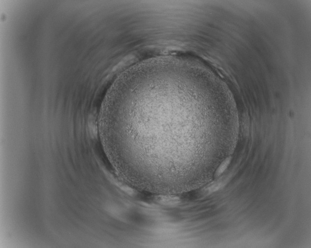 X0000063450719200601271539