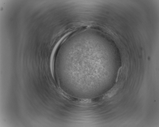 X0000063450720200601271539