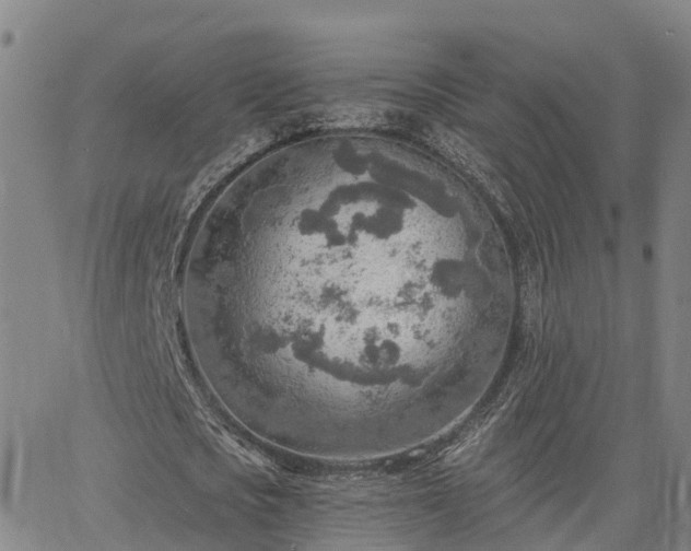 X0000063450721200601271538