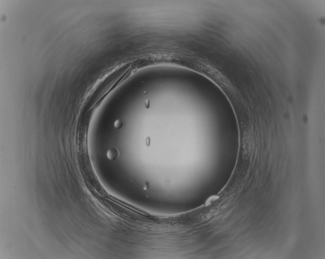 X0000063450722200601271538