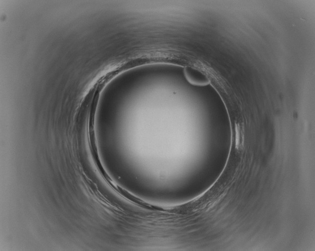 X0000063450723200601271538