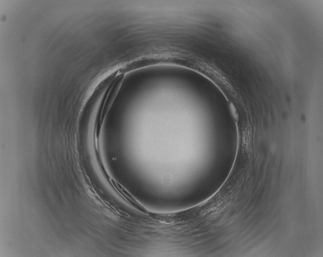 X0000063450724200601271538