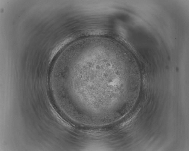 X0000063450725200601271538