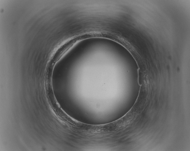 X0000063450728200601271538