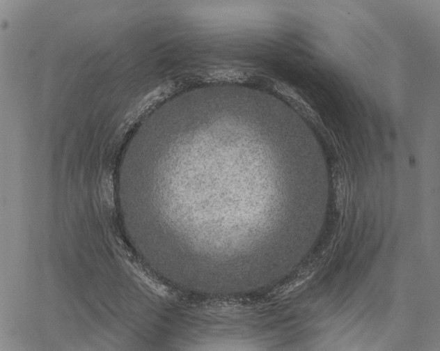 X0000063450729200601271538