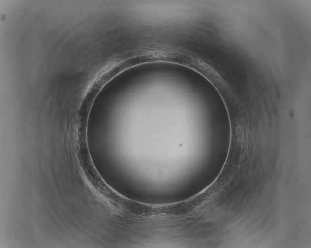 X0000063450730200601271538