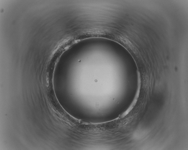 X0000063450731200601271538