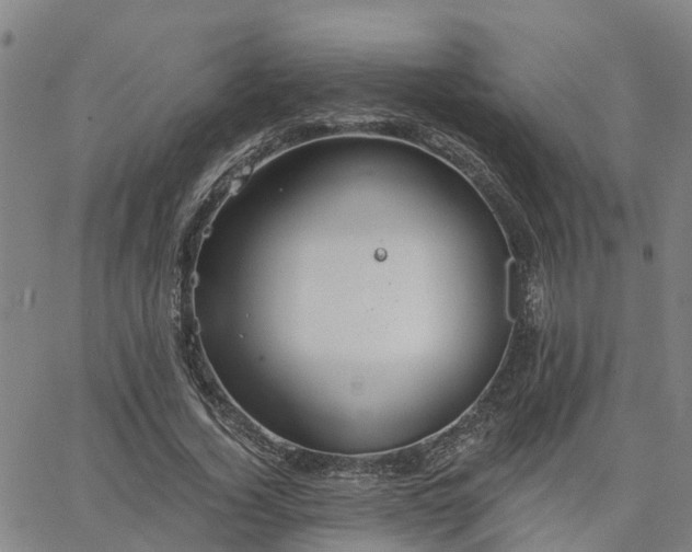 X0000063450732200601271538