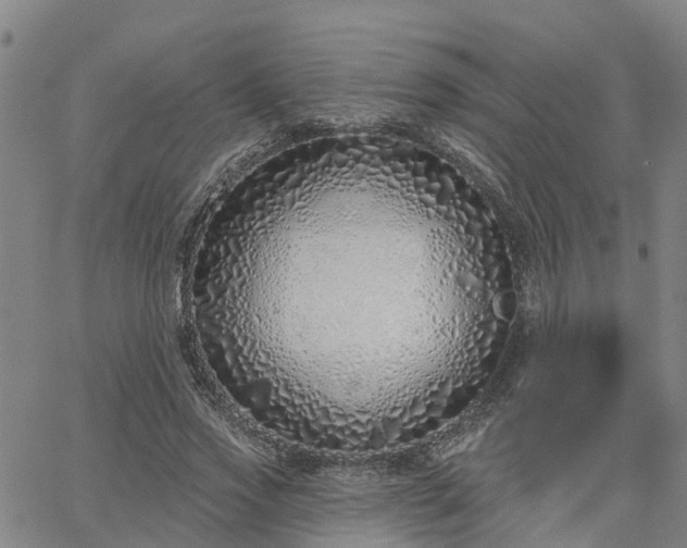 X0000063450733200601271538