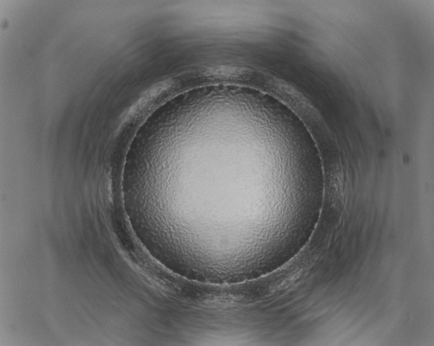 X0000063450734200601271538