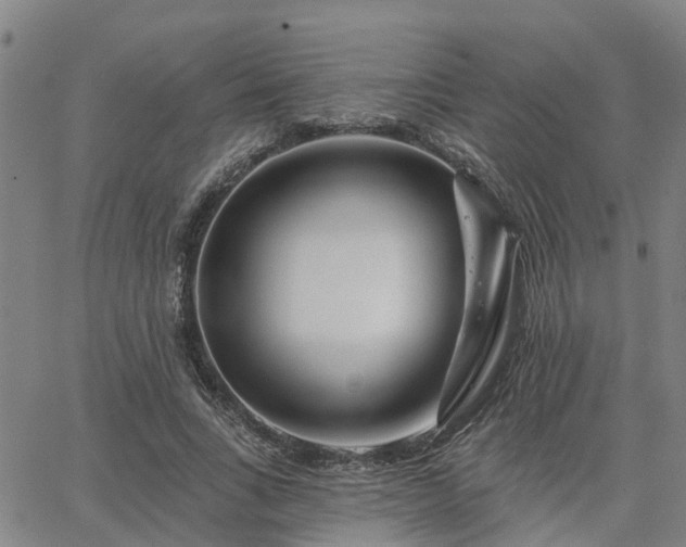 X0000063450735200601271538