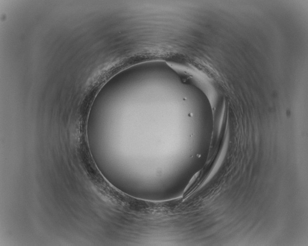 X0000063450736200601271538