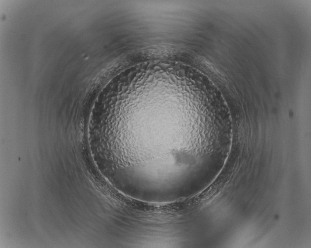 X0000063450737200601271538