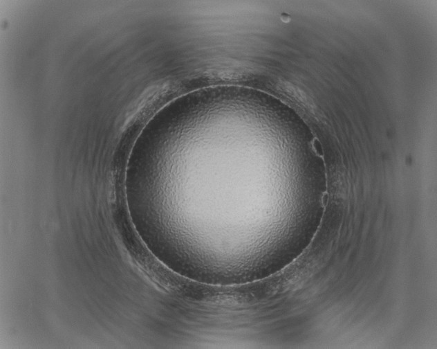 X0000063450738200601271538